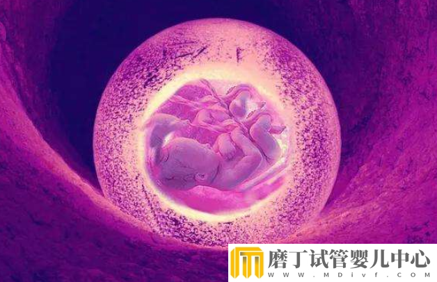 冻胚移植后1-14天变化情况，根据图片可清楚知道胚胎的变化(图7)