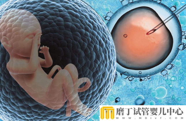 移植后的黄金48小时的注意事项，胚胎着床重要时刻(图3)