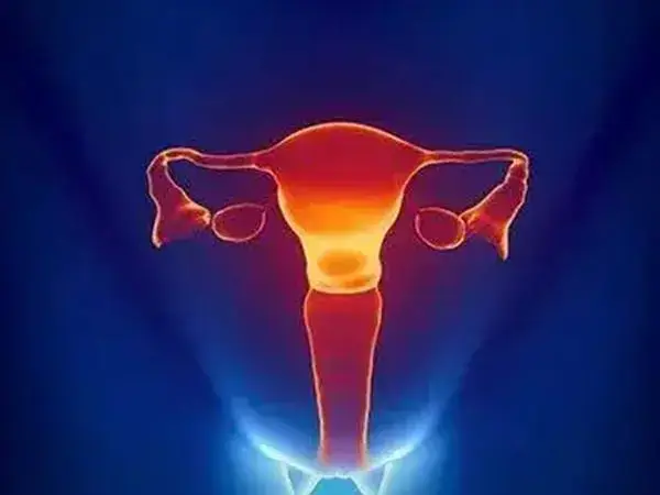 试管婴儿取卵后卵巢多久可以恢复(图1)