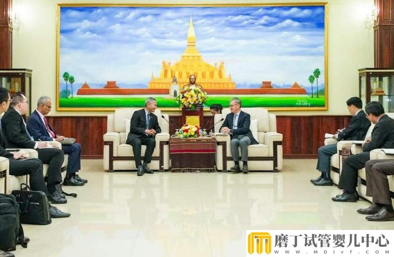 老挝人民革命党高官 受邀以学者身份访新(图1)