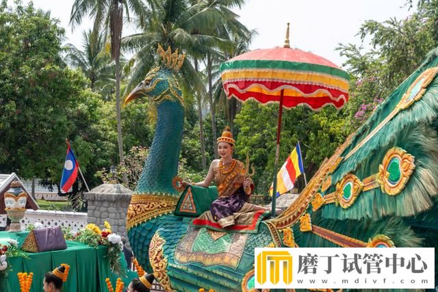 老挝琅勃拉邦庆祝泼水节(图5)