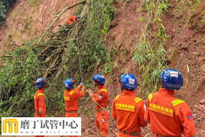 昆明市森林消防支队高效遂行中国老挝磨憨—磨丁经济合作区抢险救援任务(图10)