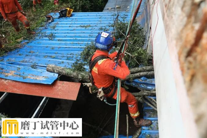 昆明市森林消防支队高效遂行中国老挝磨憨—磨丁经济合作区抢险救援任务(图16)