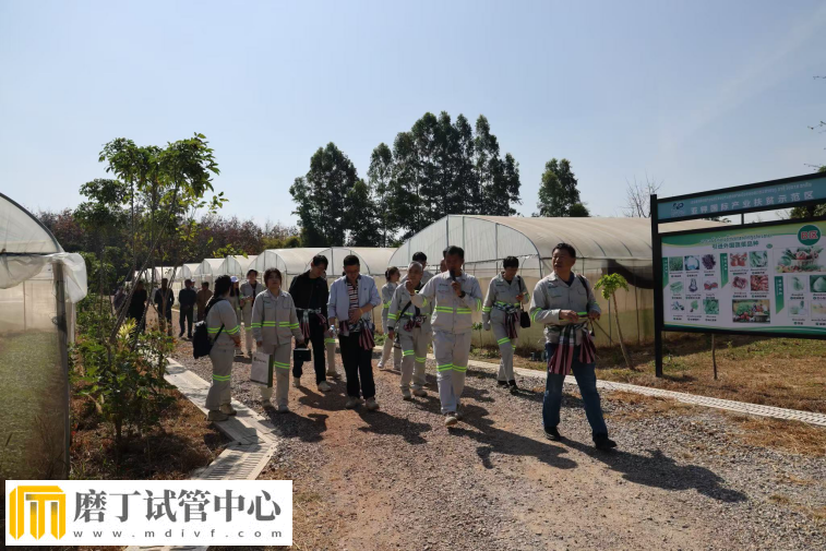 中小投资人“走进亚钾国际工厂”老挝现场考察实录(图9) 中小投资人“走进亚钾国际工厂”老挝现场考察实录(图9)