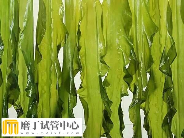 胚胎移植后吃海带对着床有没有影响(图1) 胚胎移植后吃海带对着床有没有影响(图1)