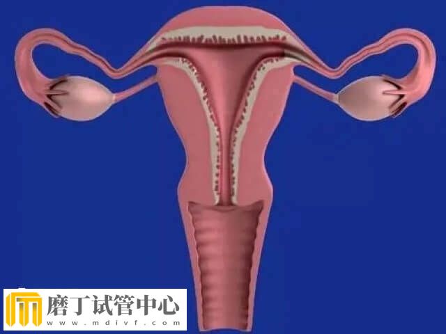 试管失败后是否需要进行ERT治疗(图2) 试管失败后是否需要进行ERT治疗(图2)