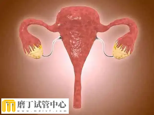 多囊卵巢做试管婴儿成功率多少(图1)